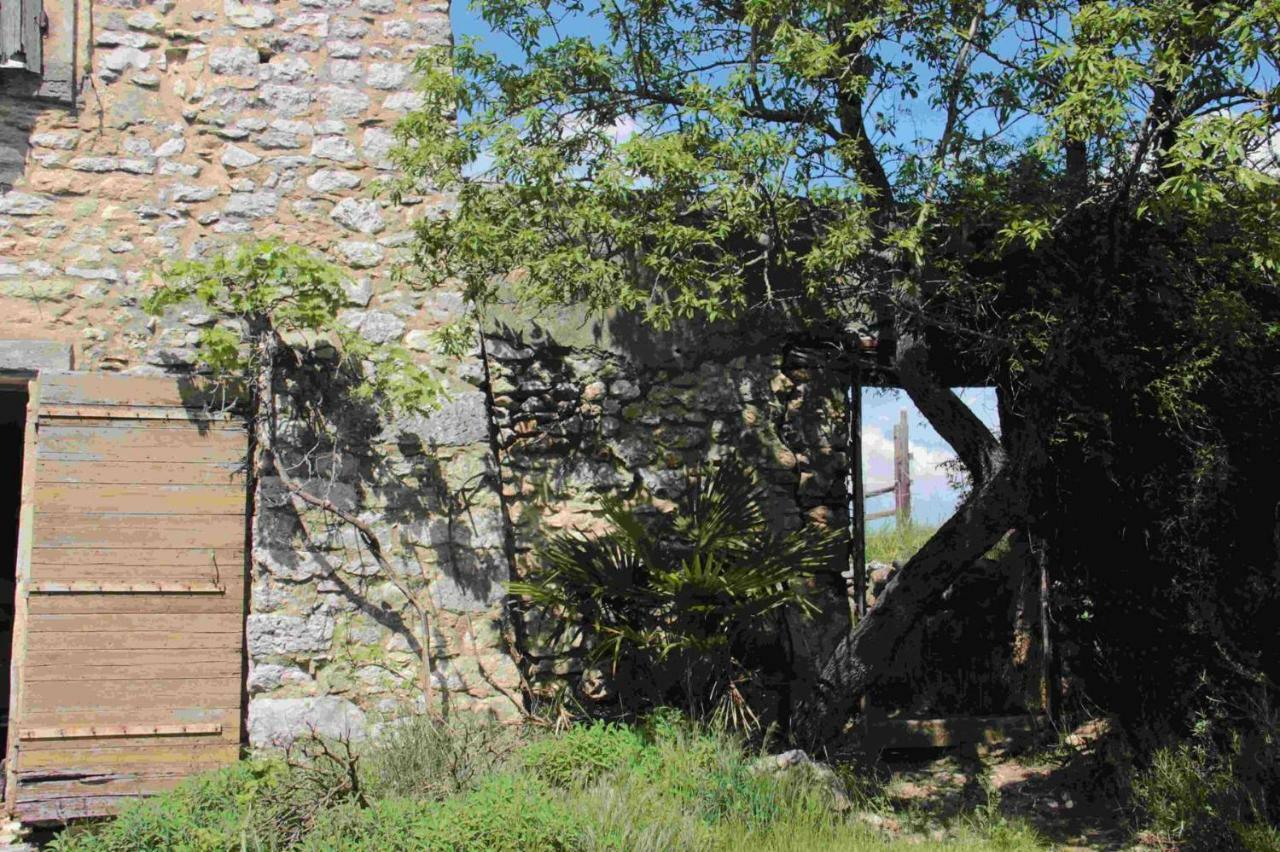 Studio Gard Calme Et Nature Russan Eksteriør billede