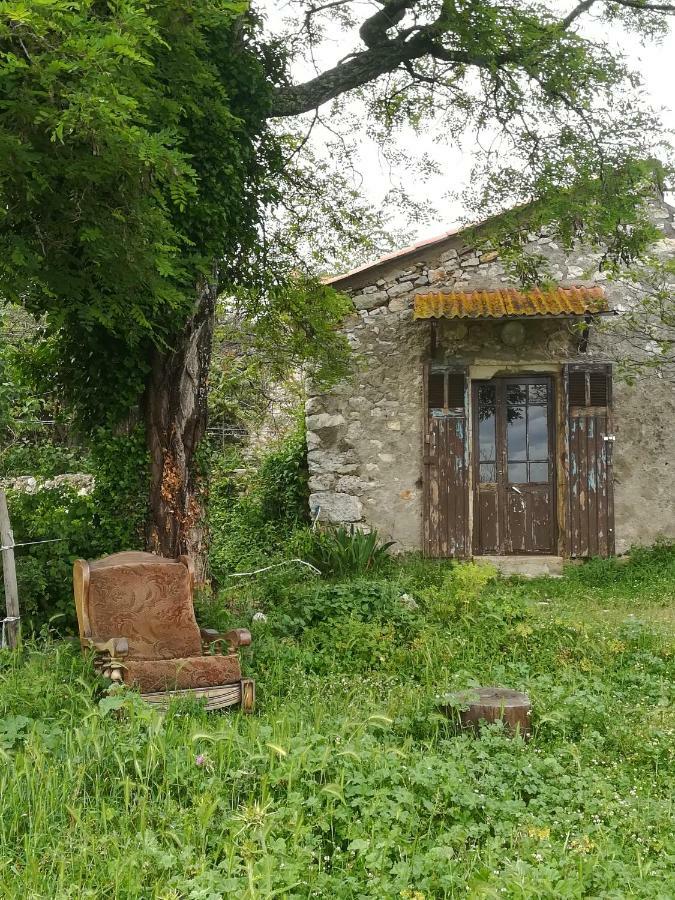 Studio Gard Calme Et Nature Russan Eksteriør billede