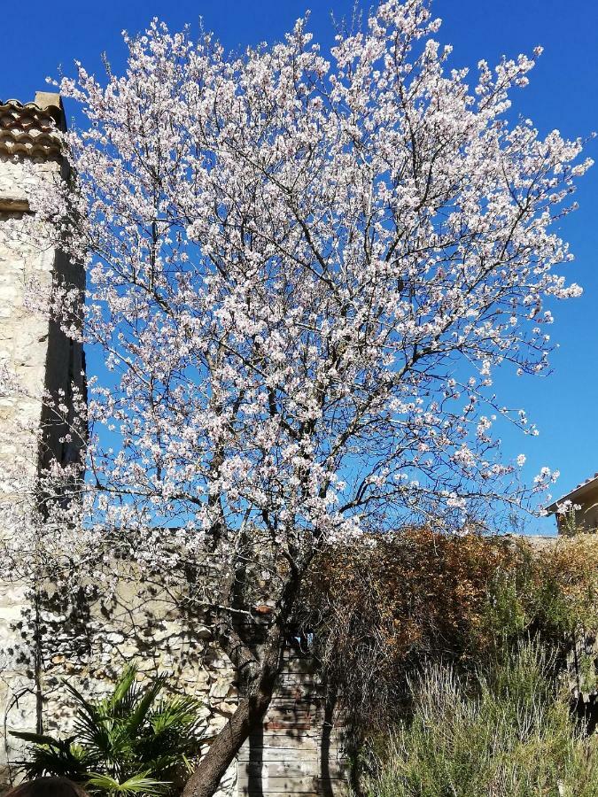 Studio Gard Calme Et Nature Russan Eksteriør billede