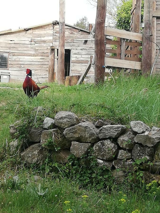 Studio Gard Calme Et Nature Russan Eksteriør billede